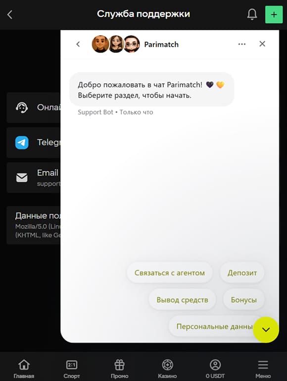 Диалог с оператором через онлайн-чат поддержки